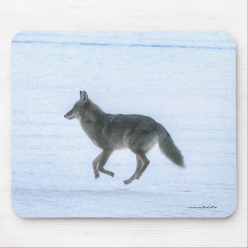 Wild Jackal Coyote Crossing Frozen Lake in Winter Mouse Pad