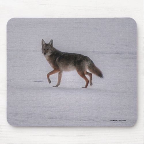 Wild Jackal Coyote Crossing Frozen Lake in Winter Mouse Pad