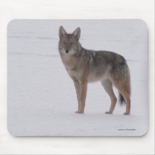 Wild Jackal Coyote Crossing Frozen Lake in Winter Mouse Pad