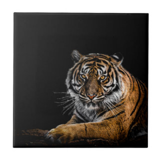 Wild Jungle Animal Tiger Ceramic Tile
