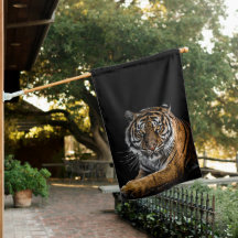 Wild Jungle Animal Tiger