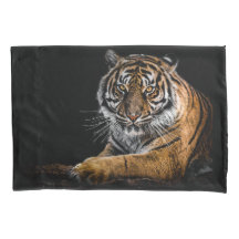 Wild Jungle Animal Tiger