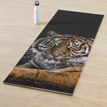 Wild Jungle Animal Tiger