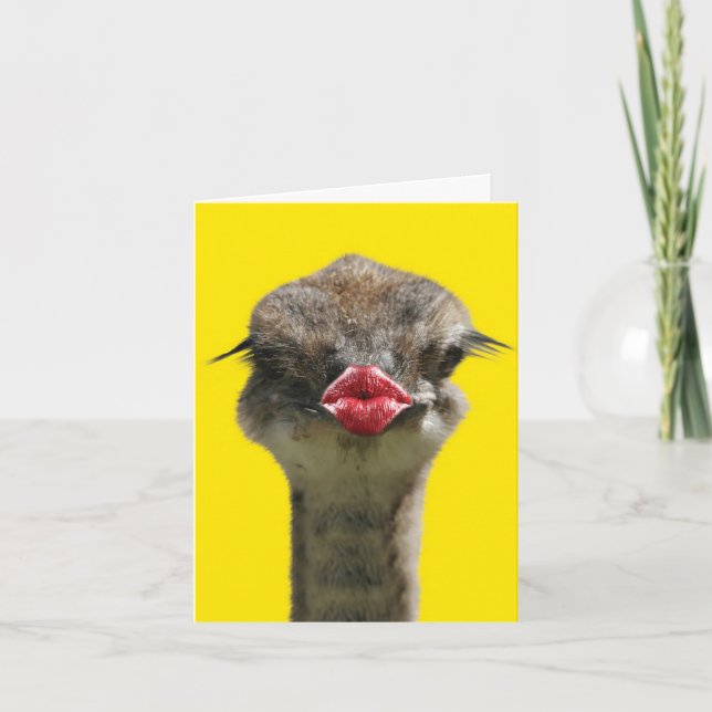 Wild Kisses - Ostrich - Get Well Greeting Card (Front)
