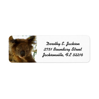 Wild koala sleeping on eucalyptus, Return Address Label