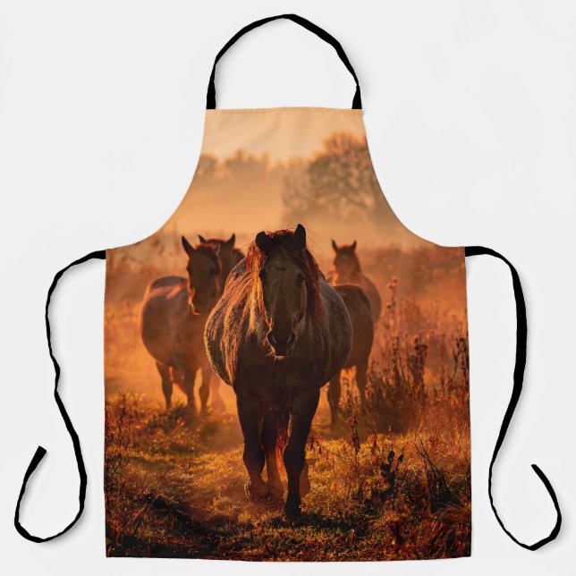 wild konik horses wich came running straight towar apron (Front)