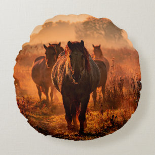 wild konik horses wich came running straight towar round pillow