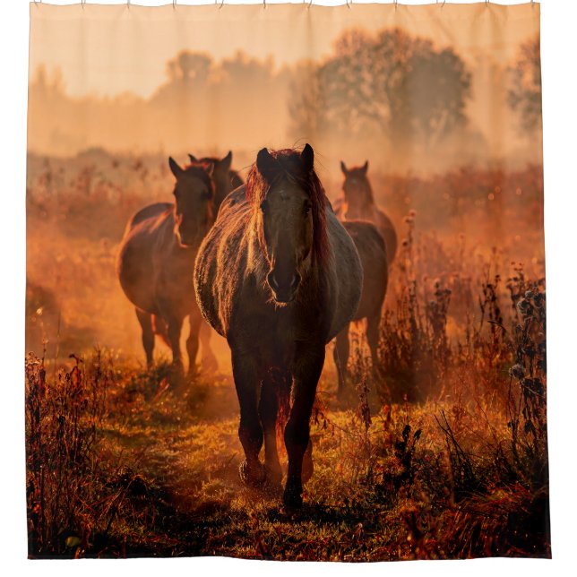 wild konik horses wich came running straight towar shower curtain (Front)