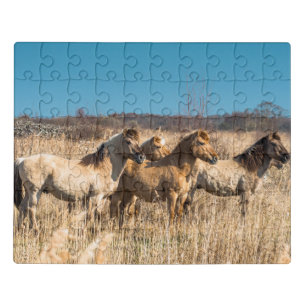 Wild Konik ponies Wicken Fen Cambridgeshire UK Jigsaw Puzzle