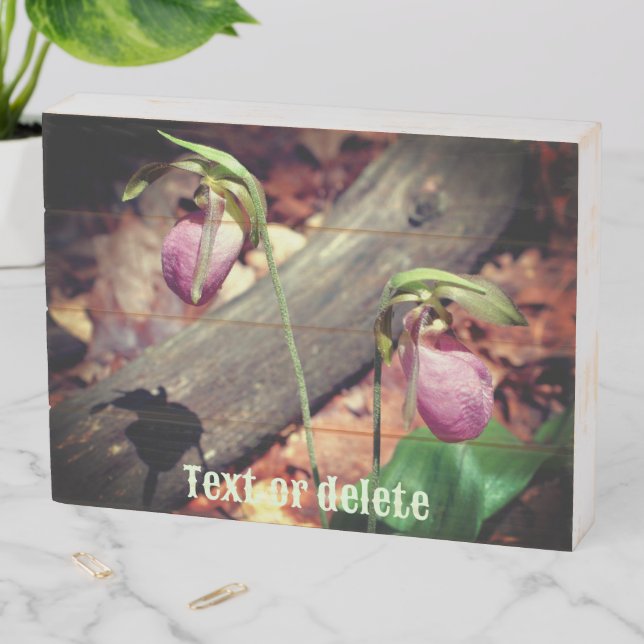 Wild Lady Slipper Orchid Flowers Personalized Wooden Box Sign (In Situ Horizontal)