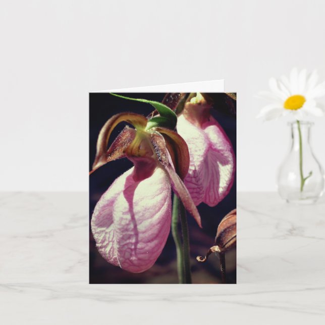 Wild Lady Slipper Orchids Flower Personalized Note Card (Small Plant)