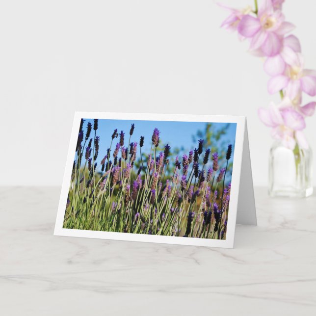 Wild Lavender Blue Sky Portrait Card (Orchid)
