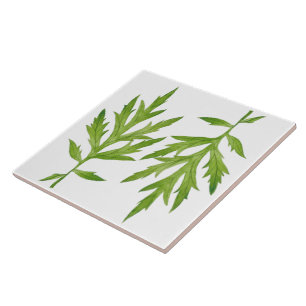 Wild Leaves on a Ceramic Tile (2)