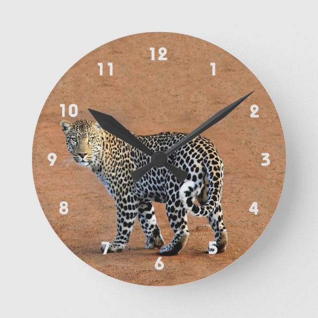 Wild Leopard in Africa Round Clock (Front)