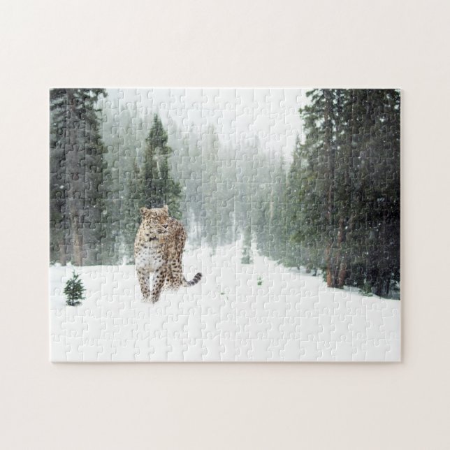 Wild Leopard in Snow Jigsaw Puzzle (Horizontal)