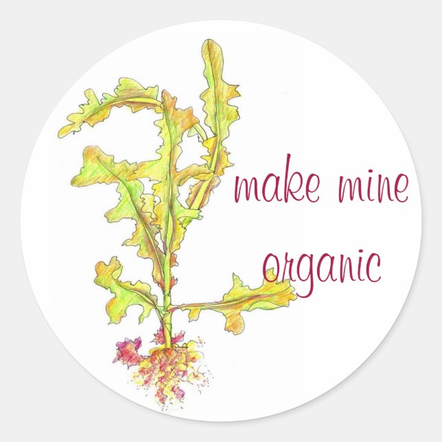 Wild Lettuce Leaves Drawing Organic Vegetables Classic Round Sticker (Front)