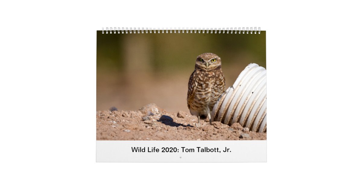 Wild Life 2020 Calendar | Zazzle.com