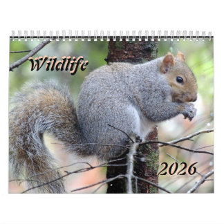 Wild Life 2025 Calendar