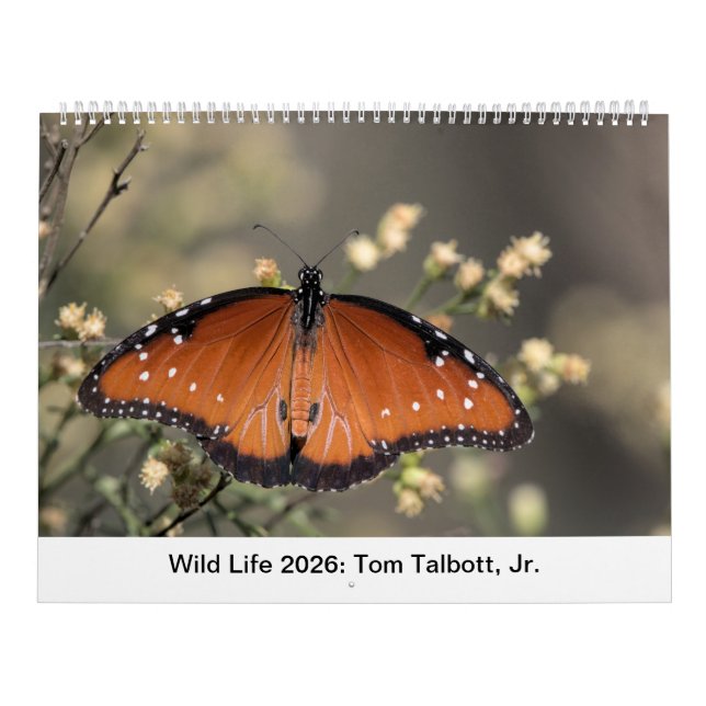 Wild Life 2026 Calendar (Cover)