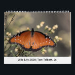 Wild Life 2026 Calendar<br><div class="desc">Wild life from the American Southwest.</div>