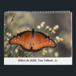 Wild Life 2026 Calendar<br><div class="desc">Wild life from the American Southwest.</div>