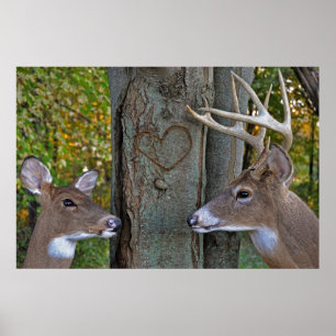 Wild Life Love Poster