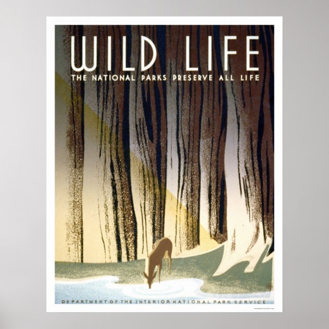 Wild Life National Park 1940 WPA Poster (Front)