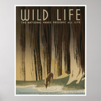 Wild Life: National Parks Service Poster