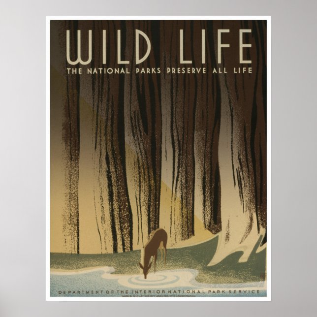 Wild Life: National Parks Service Poster (Front)