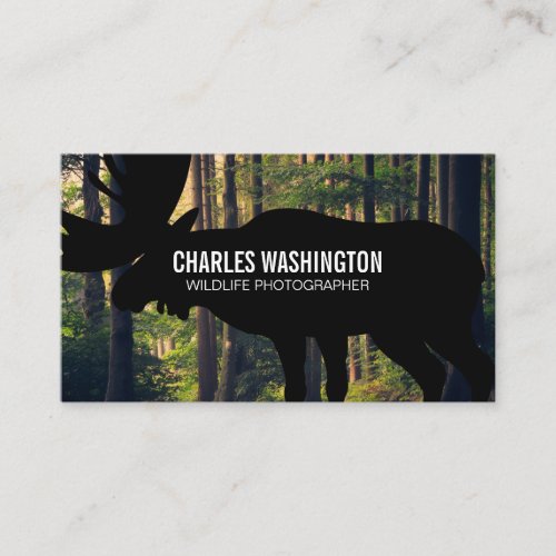 Wild Life Photographer  Outdoors Business Card