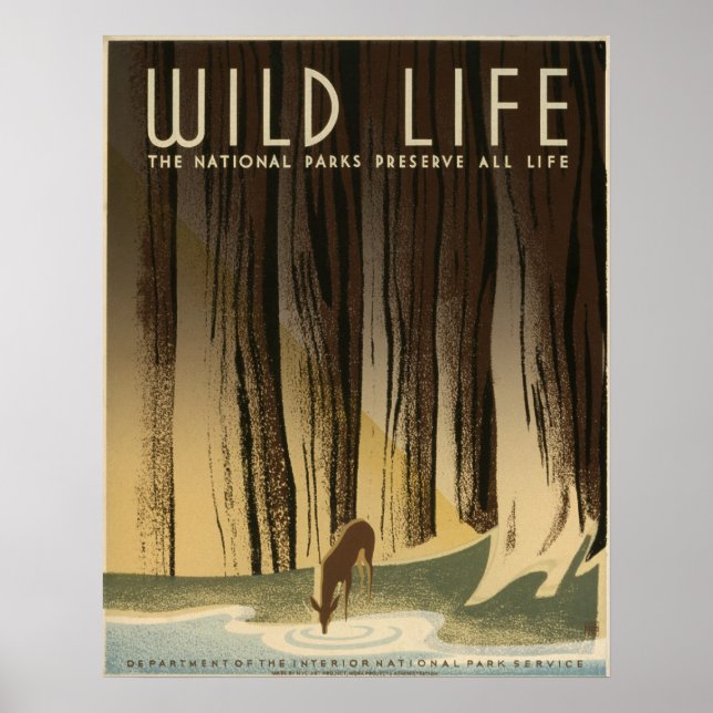 Wild Life Vintage 1940 National Park Service Poster (Front)