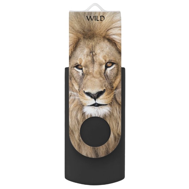 Wild lion animal flash drive (Front Vertical)