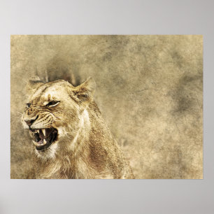 Wild Lion Safari Jungle Artwork Photo Poster