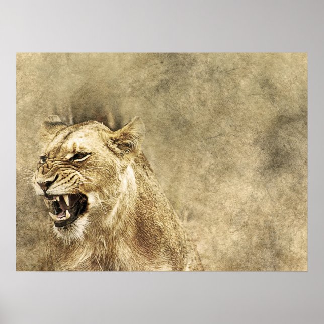 Wild Lion Safari Jungle Artwork Photo Poster (Front)