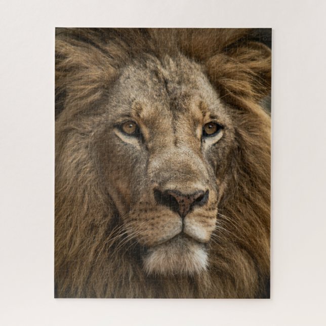 Wild Lion's Face Big Cat Wildlife Jigsaw Puzzle (Vertical)