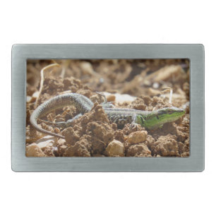 Wild Lizard Nature Photography Rustic  Belt Buckle