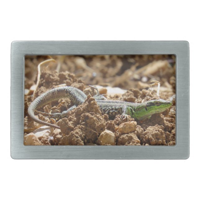 Wild Lizard Nature Photography Rustic  Belt Buckle (Front)