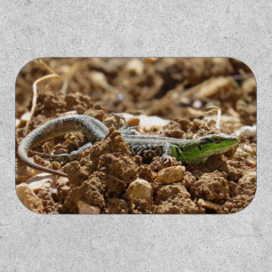 Wild Lizard Nature Photography Rustic Patch