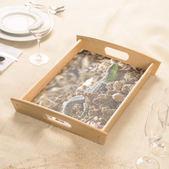 Wild Lizard Nature Photography Rustic  Serving Tray (Front)