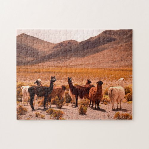 Wild Llama Family Camelid Camels Mountains Rocks Jigsaw Puzzle
