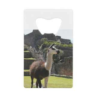 Wild Llama Near Ruins Credit Card Bottle Opener