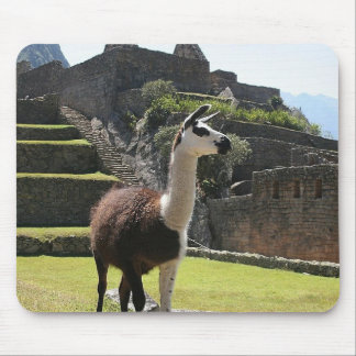 Wild Llama Near Ruins Mouse Pad