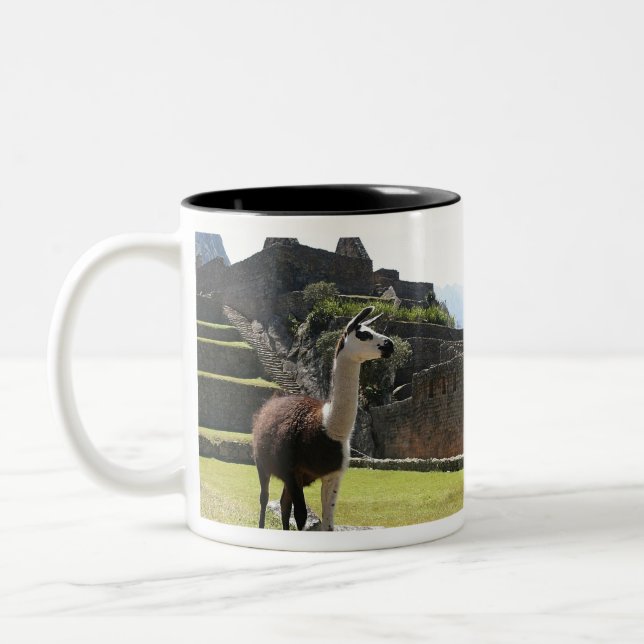 Wild Llama Near Ruins Two-Tone Coffee Mug (Left)