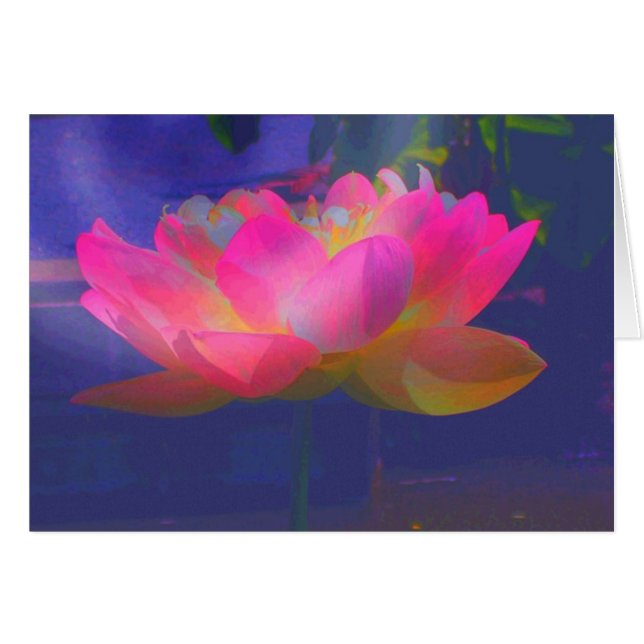 Wild Lotus Cards (Front Horizontal)