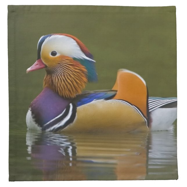 Wild Mandarin Duck Aix galericulata) on dark Cloth Napkin (Front)