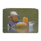 Wild Mandarin Duck Aix galericulata) on dark iPad Mini Cover Wild Mandarin Duck Aix galericulata) on dark iPad Mini Cover