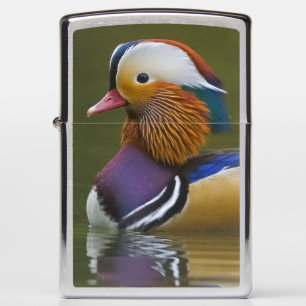 Wild Mandarin Duck Aix galericulata) on dark Zippo Lighter