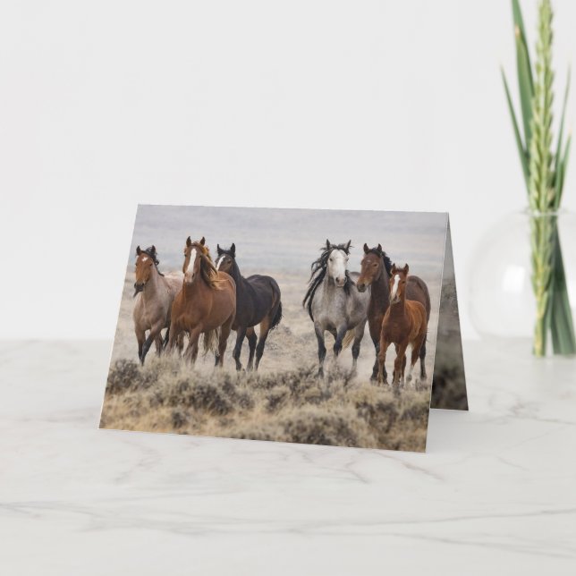 "Wild Mares and Foal on the Move" Invitation (Front)