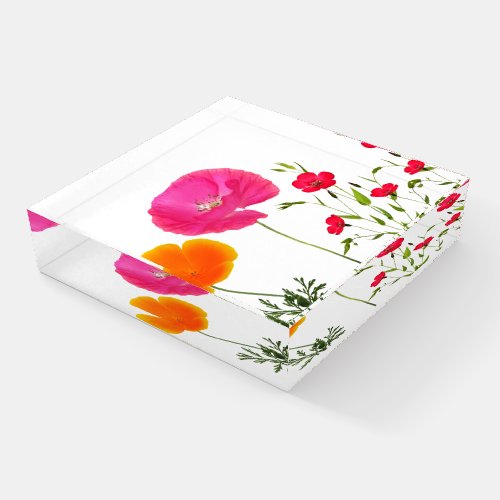 wild meadow flowers against a white background paperweight