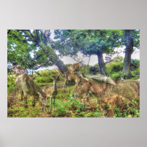 Wild Memories _ A New Forest Grove Hampshire UK Poster
